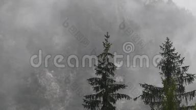 斯洛文尼亚洛加尔斯卡多利纳，低云的高山河<strong>谷</strong>雨天